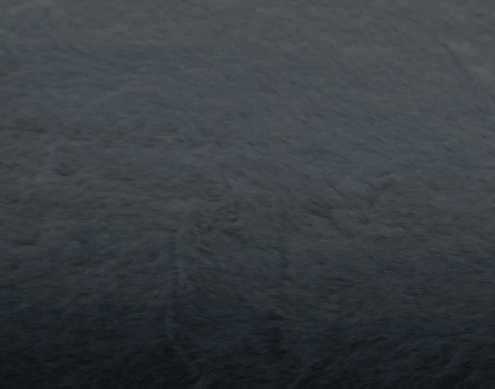 BEST MOBILIER - Oscar - coussin - en fausse fourrure - 60x60 cm