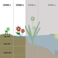 BLOOMIQUE - Lot de 3 - mazus reptans - mazus rampant - plantes de bassin - hauteur 10-20 cm - pot 9 cm
