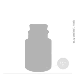 BLOOMIQUE - Lot de 3 - tillandsia en verre - plantes aériennes - plantes d’intérieur - taille 5-15 cm