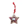 Boule étoile à suspendre