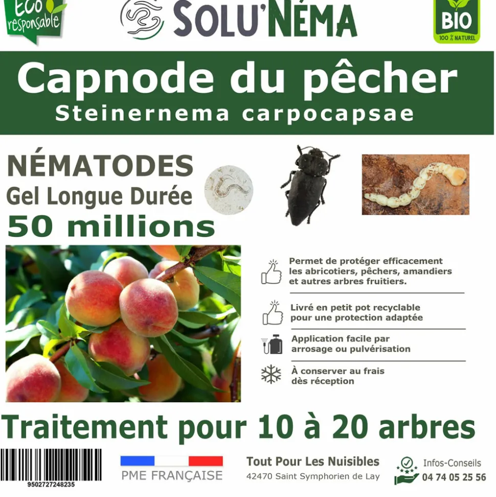 Capnode du pecher - 50 millions nématodes (sc)