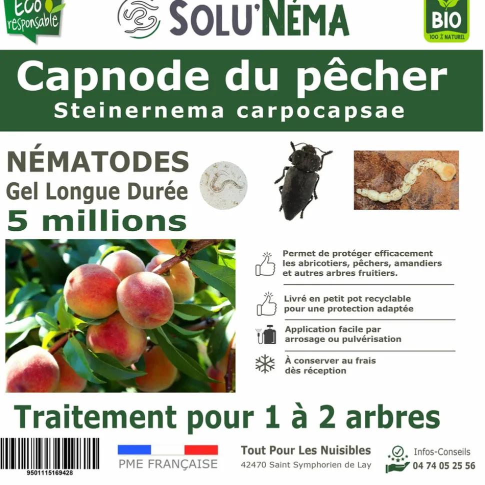 Capnode du pecher - 5 millions Nématodes (SC)