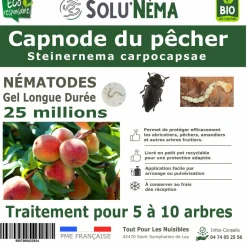 Capnode du pecher - 25 millions nématodes (sc)