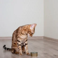 CARNILOVE - Carnilove - friandises sans céréales à la sardine pour chat 50g