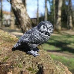 CHEMIN DE CAMPAGNE - Chouette en fonte noire à poser 18 x 11 cm