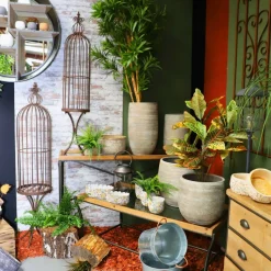 CHEMIN DE CAMPAGNE - Coupe 