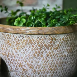 CHEMIN DE CAMPAGNE - Coupe 