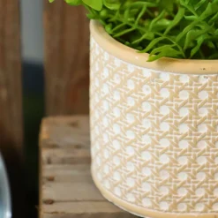 CHEMIN DE CAMPAGNE - Jardinière 