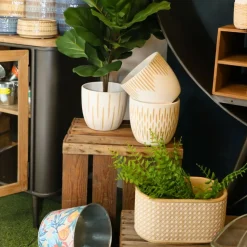 CHEMIN DE CAMPAGNE - Jardinière 