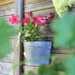 CHEMIN DE CAMPAGNE - Set2 jardinière extérieure murale porte fer forgé vintage gris 21-24cm