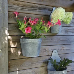 CHEMIN DE CAMPAGNE - Set2 jardinière extérieure murale porte fer forgé vintage gris 21-24cm