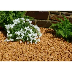 CLASSGARDEN - Gravier jaune saumon 10-15 pack de 5 m² - 40 sacs - 800 kg