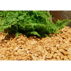 CLASSGARDEN - Gravier jaune saumon 10-15 pack de 5 m² - 50 sacs - 1000 kg