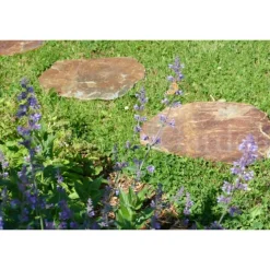 CLASSGARDEN - Pas japonais corten irrégulier - pack de 12 pièces