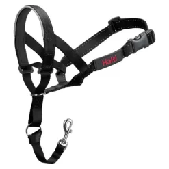 COMPANY OF ANIMALS - Collier d'entraînement pour chiens halti noir muselière (40-54 cm)