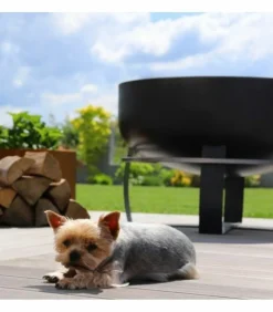 COOKKING - Braséro de jardin xxl viking 60cm de diamètre, acier naturel,cookking, 111564