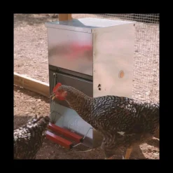 COPELE - Mangeoire anti-nuisibles 40 kg pour 20 poules