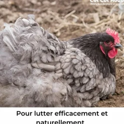 COT COT HOUSE - Bain de poussière anti parasites