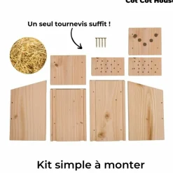 COT COT HOUSE - Kit pédagogique - insectes
