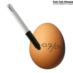 COT COT HOUSE - Stylo feutre alimentaire noir spécial œuf