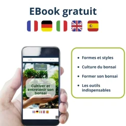 CULTIVEA - Cultivea kit bonsaï premium prêt à pousser