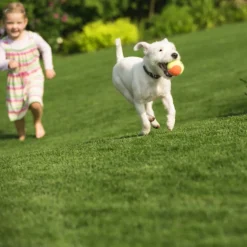 DÉCOWEB - Gazon synthétique plénitude - 45mm - rouleau de 2m x 11m