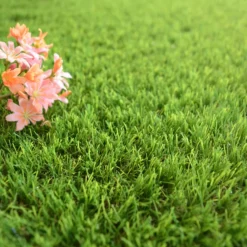 DÉCOWEB - Gazon synthétique fontainebleau - 30mm - rouleau de 4m x 12m