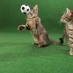 DÉCOWEB - Moquette d'extérieur verte sur plots - imitation gazon synthétique - rouleau de 4m x 34m