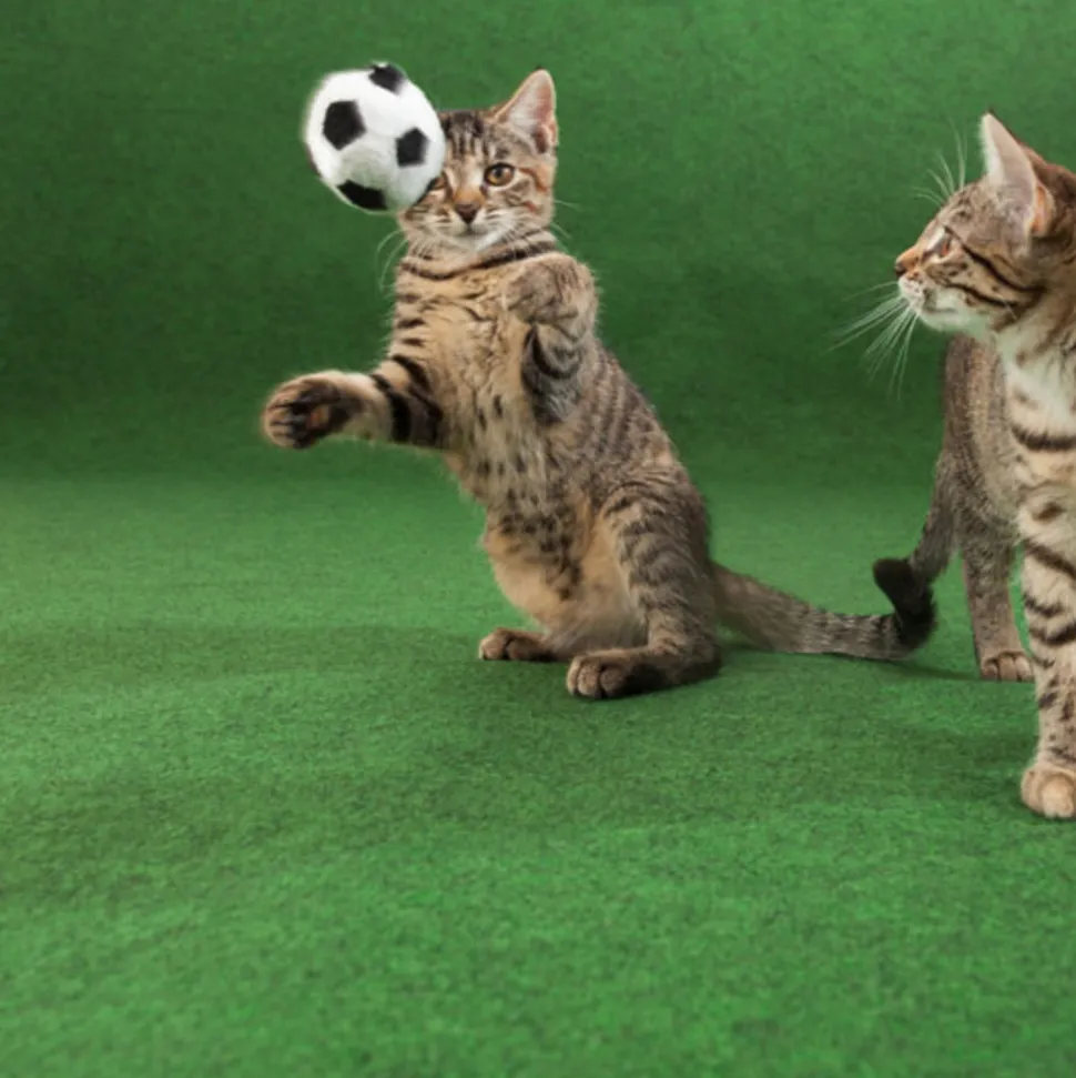 DÉCOWEB - Moquette d'extérieur verte sur plots - imitation gazon synthétique - rouleau de 4m x 40m