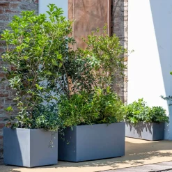 DEROMA - Bac cubo Millennium, à réserve d'eau, coloris ashgrey - L.39cm