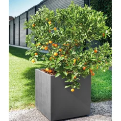 DEROMA - Bac cubo Millennium, à réserve d'eau, coloris anthracite - L.49cm