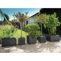 DEROMA - Bac cubo Millennium, à réserve d'eau, coloris anthracite - L.49cm