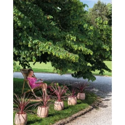 DEROMA - Pot Vaso Com'O pour plantes et fleurs en terre cuite rosée - D.26cm