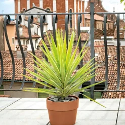 DEROMA - Pot Vaso Perfetto Cotto en terre cuite D.29 x H.23,6cm