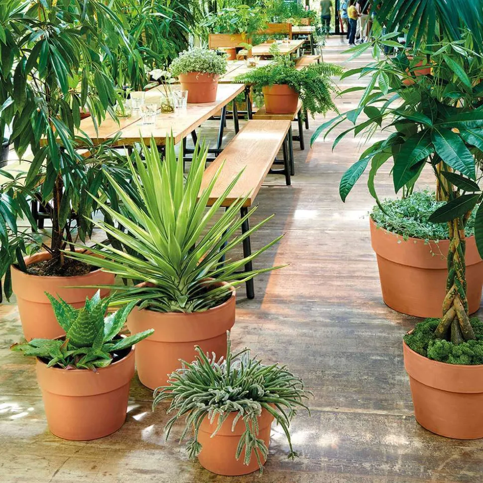 DEROMA - Pot Vaso Perfetto Cotto en terre cuite D.29 x H.23,6cm