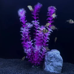 DOWNYPAWS - 5 ornements de plantes aquatiques artificielles pour aquarium de 30 cm