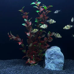 DOWNYPAWS - 5 ornements de plantes aquatiques artificielles pour aquarium de 30 cm