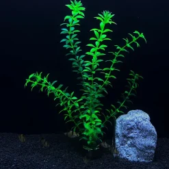 DOWNYPAWS - 5 ornements de plantes aquatiques artificielles pour aquarium de 30 cm
