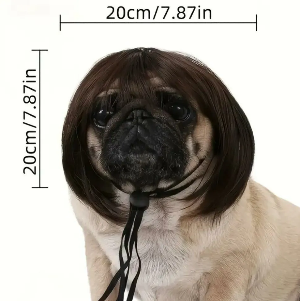 DOWNYPAWS - 1 perruque amusante pour fête des chiens et chats