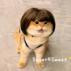 DOWNYPAWS - 1 perruque amusante pour fête des chiens et chats