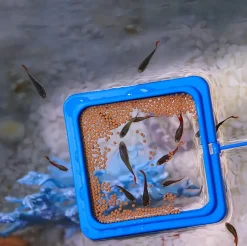 DOWNYPAWS - Anneau d'alimentation flottant pour aquarium - anti - dispersion, pour petits poissons tropicaux