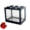 DOWNYPAWS - Aquarium betta miniature en acrylique transparent