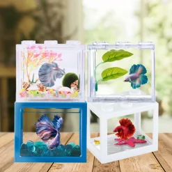 DOWNYPAWS - Aquarium betta miniature en acrylique transparent