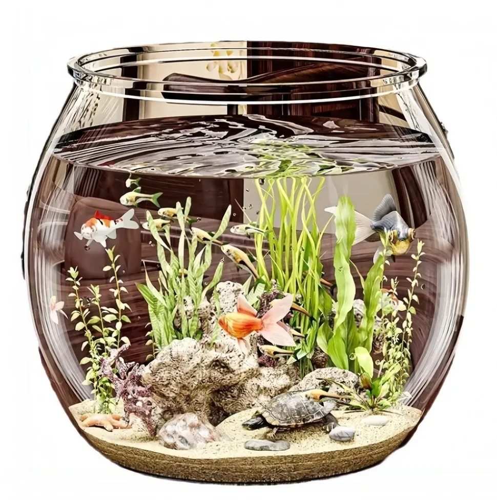 DOWNYPAWS - Aquarium en plastique transparent: petit aquarium pour bureau micro paysage et aménagement paysager écologique pour tortues