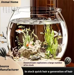 DOWNYPAWS - Aquarium en plastique transparent: petit aquarium pour bureau micro paysage et aménagement paysager écologique pour tortues