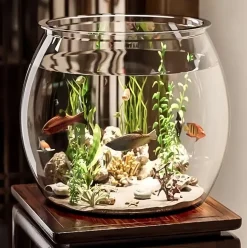 DOWNYPAWS - Aquarium en plastique transparent: petit aquarium pour bureau micro paysage et aménagement paysager écologique pour tortues