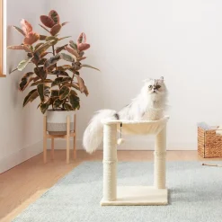 DOWNYPAWS - Arbre à chat avec hamac