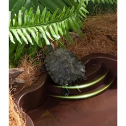 DOWNYPAWS - Baignoire et bac d'alimentation - décoration pour aquarium, pour reptiles aquatiques et grimpants