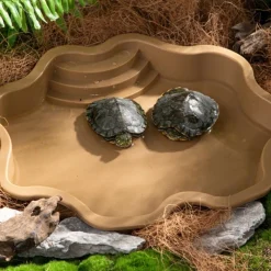 DOWNYPAWS - Baignoire et bac d'alimentation - décoration pour aquarium, pour reptiles aquatiques et grimpants