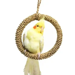 DOWNYPAWS - Balançoire à anneau en paille pour perroquet - support pour cage à oiseaux hamac à poteau
